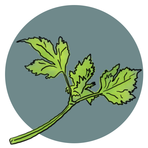 Beyond Celery logo. Sketch of green celery stalk and leaves over a grey blue circle.